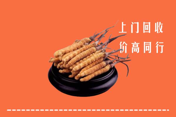 高价求购：宜州回收散虫草