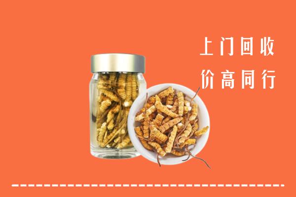宜州回收冬虫夏草